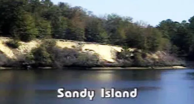 
            <div>Sandy Island (S.C.) | NatureScene</div>
      