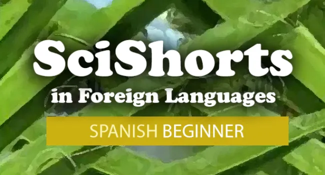 
            <div>Spanish Beginner</div>
      