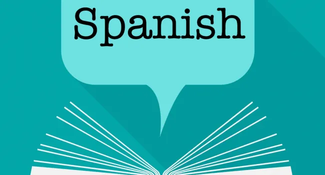 
            <div>Foreign Language Scholastic Series - Spanish</div>
      
