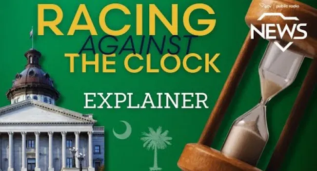  Inside South Carolina’s Two-Year Legislative Deadline | SCETV News Explainers 